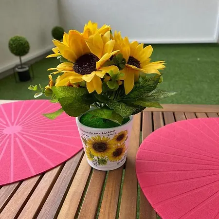 Apartment Sunshine Summer Navodari